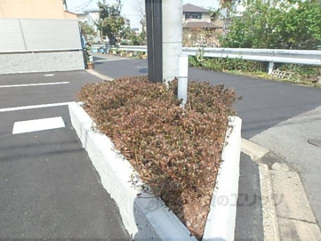 植栽