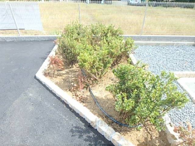 植栽
