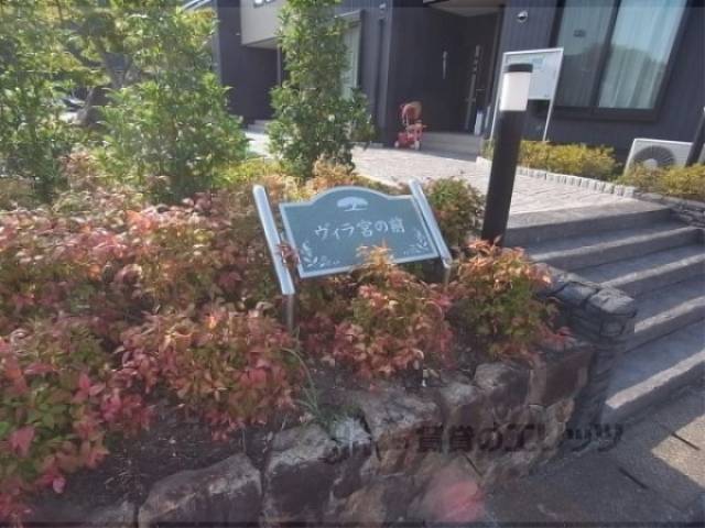 植栽