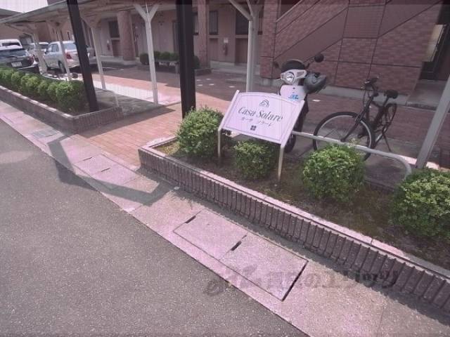 植栽