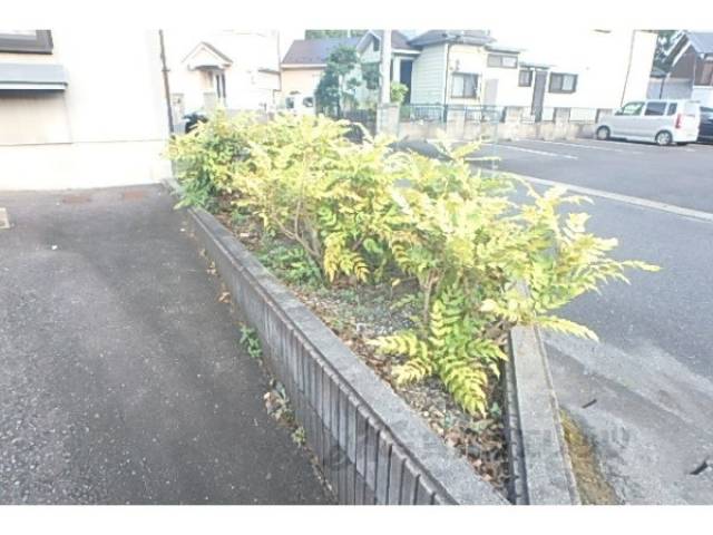 植栽