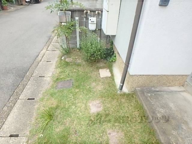 植栽