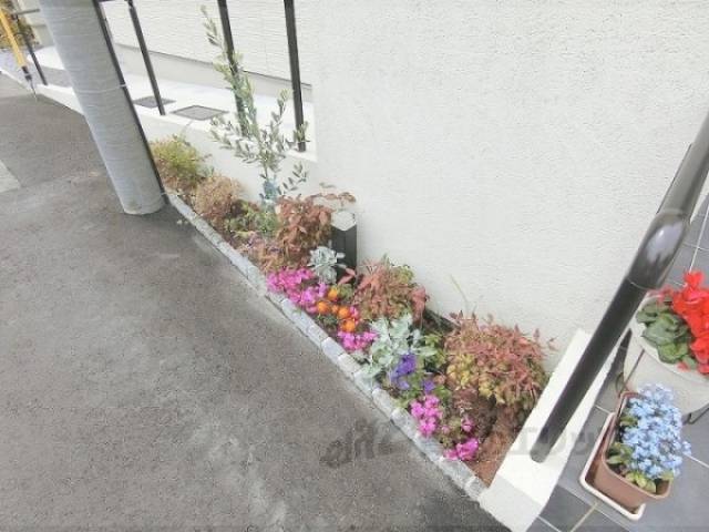 植栽