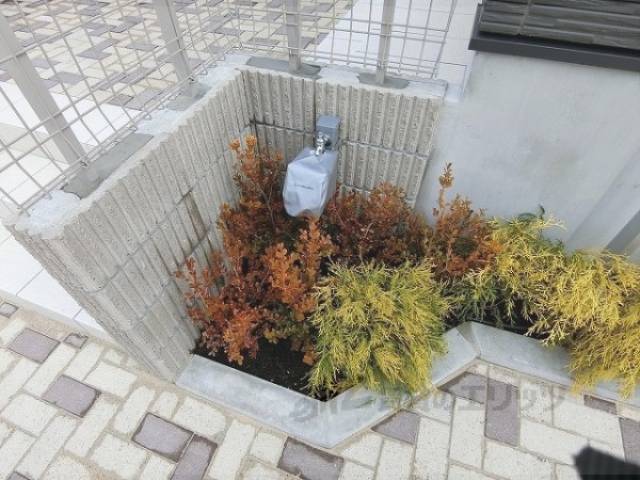 植栽