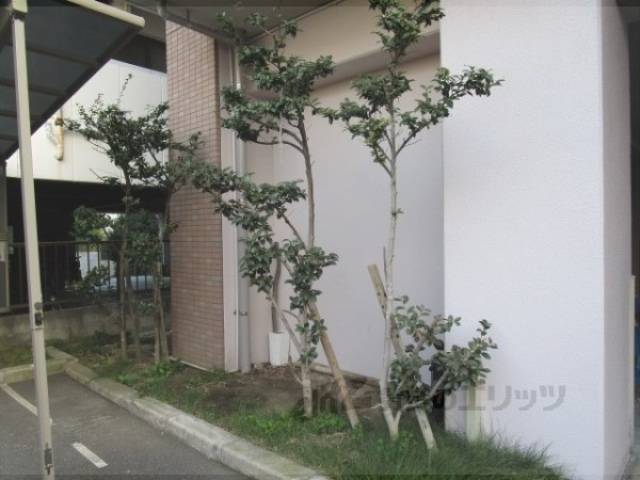 植栽