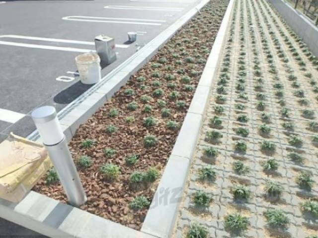 植栽