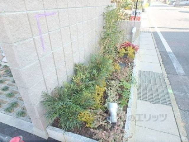 植栽