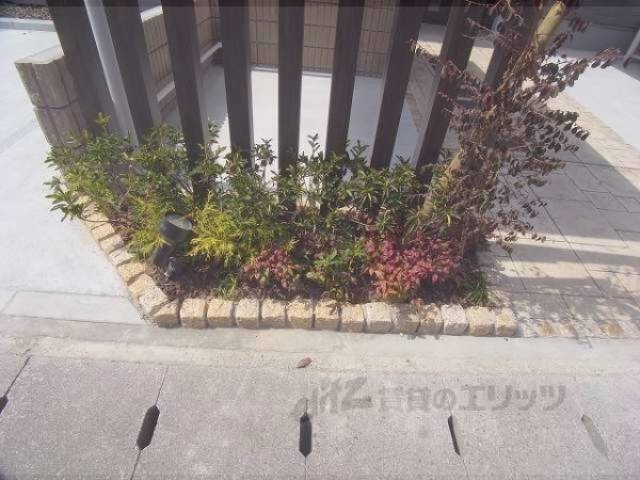 植栽