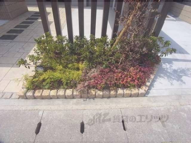 植栽
