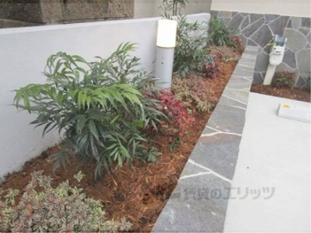 植栽