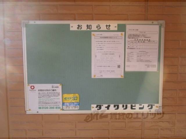 掲示板