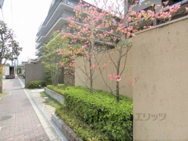 植栽