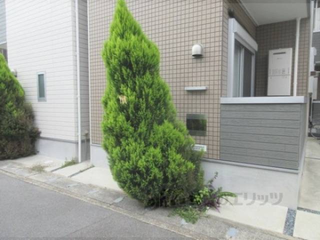 植栽