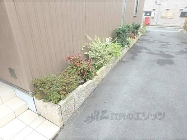 植栽