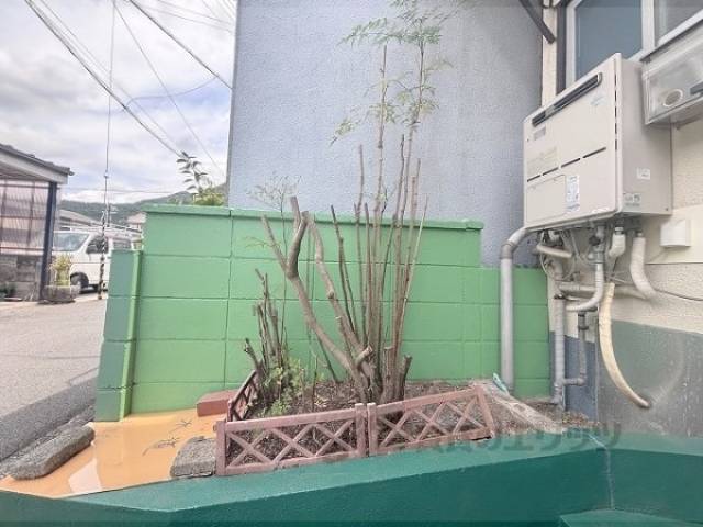 植栽