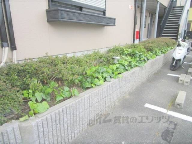 植栽