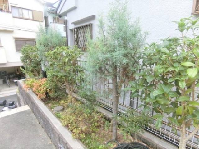 植栽