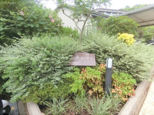 植栽