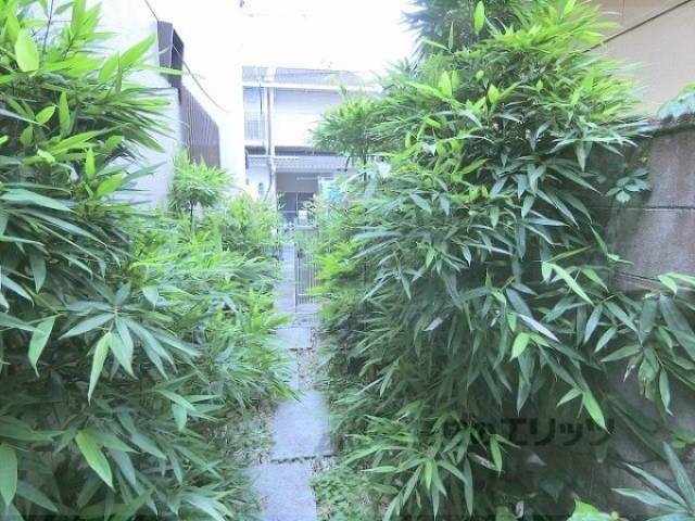 廊下