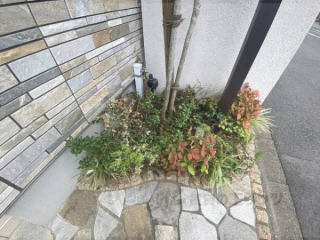 植栽