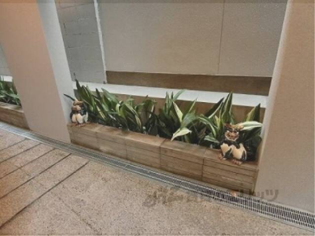 植栽