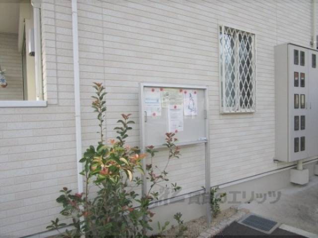 掲示板