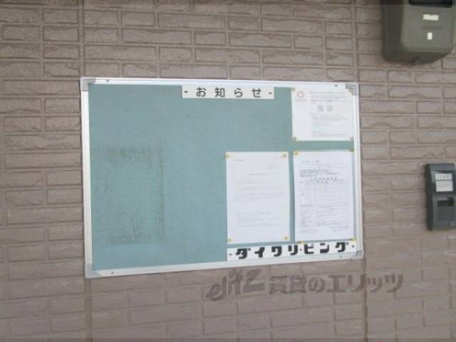掲示板