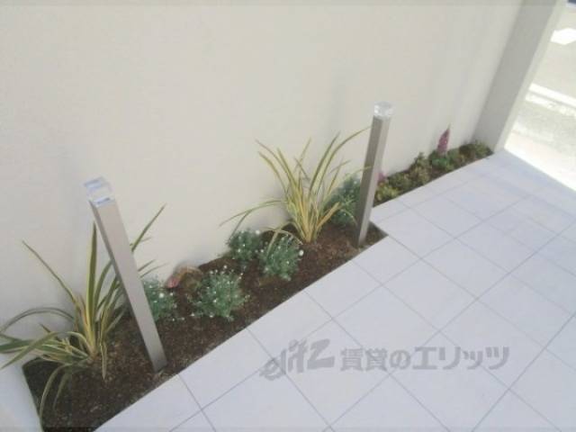植栽