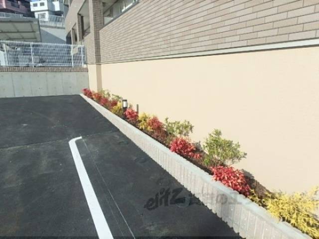 植栽