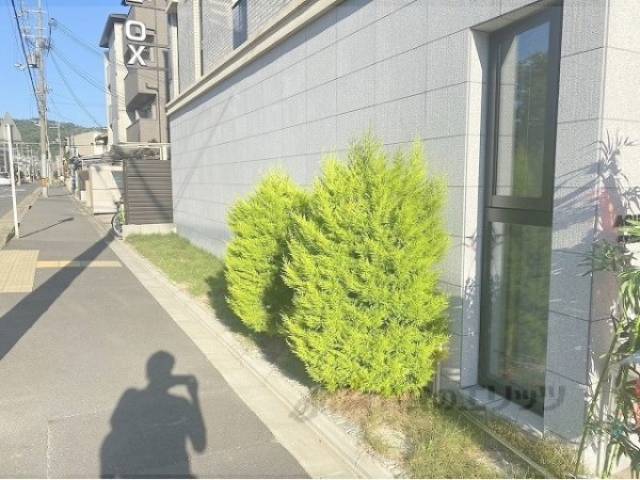 植栽