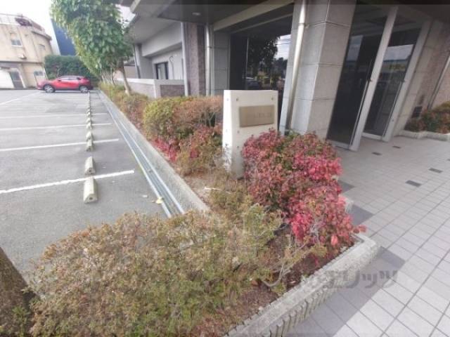 植栽