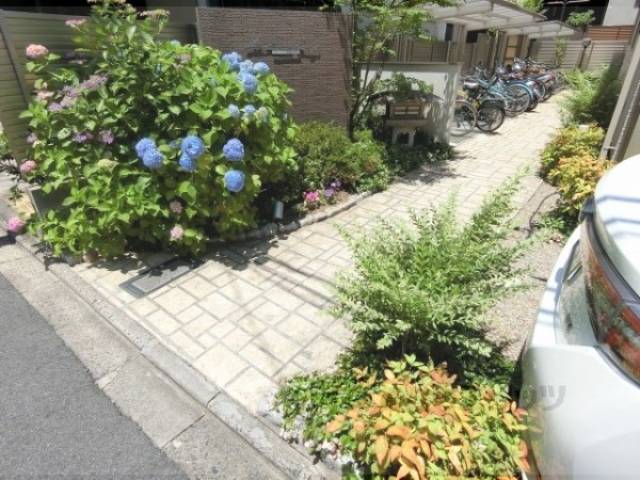 植栽