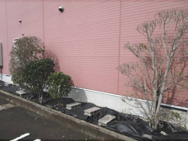 植栽