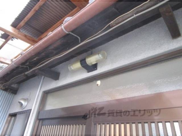 電灯