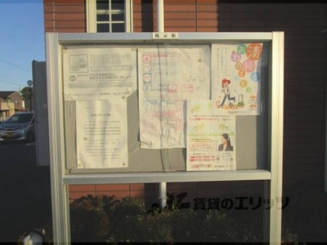 掲示板