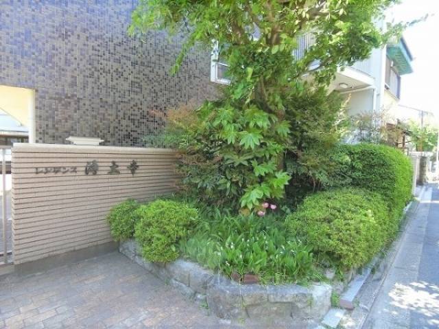 植栽