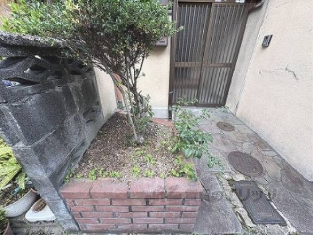 植栽