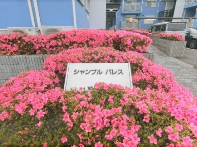 看板