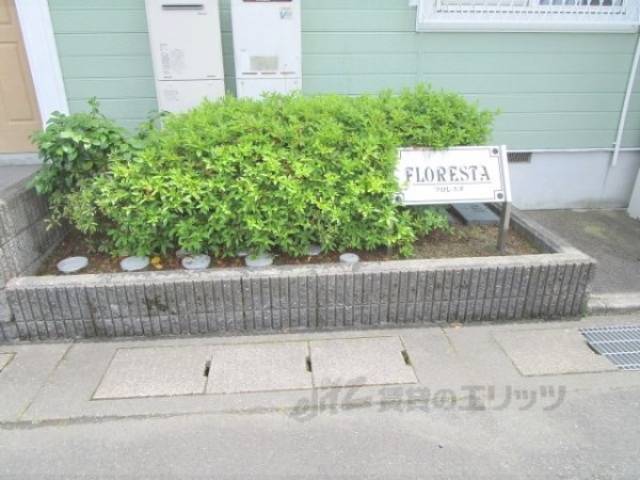 植栽
