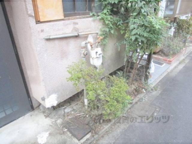 植栽