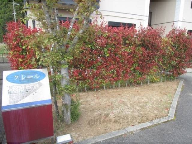 植栽