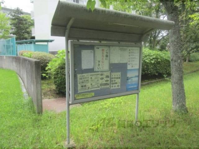 掲示板