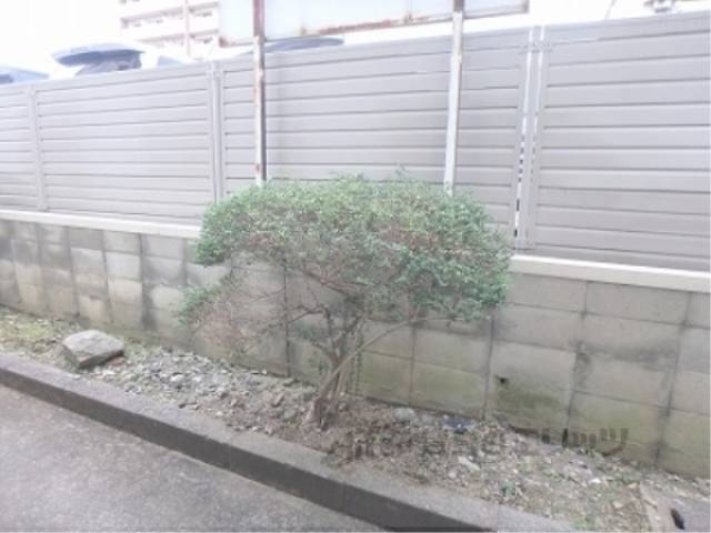 植栽