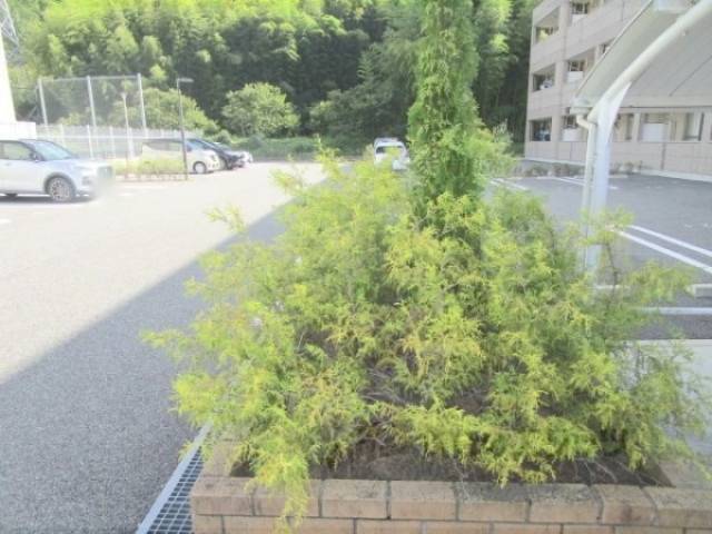 植栽