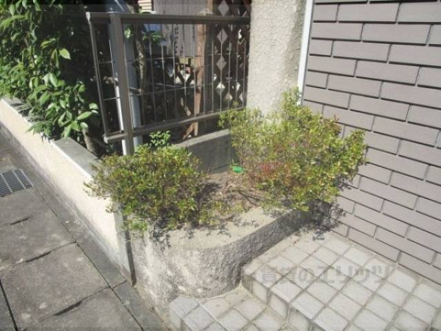 植栽