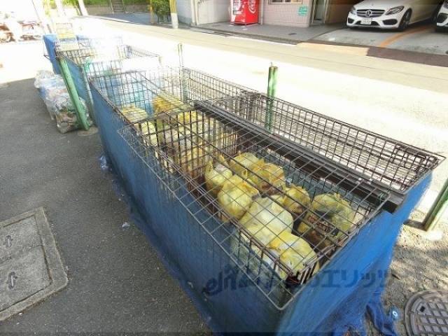 ゴミ置き場