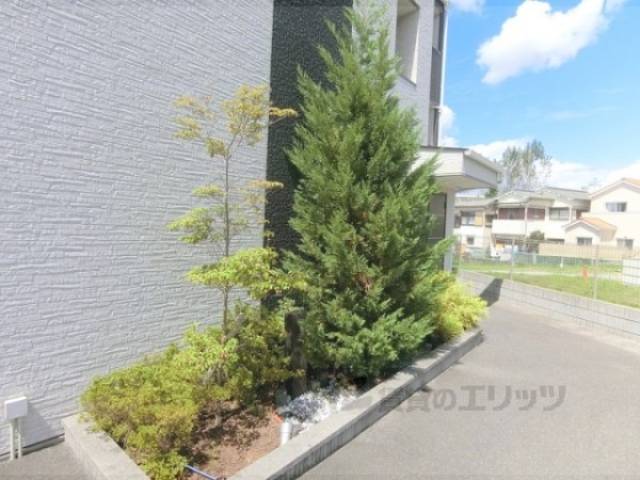 植栽