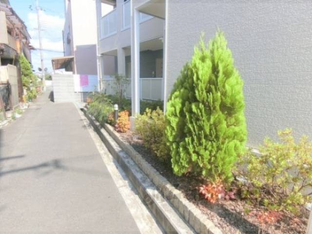 植栽