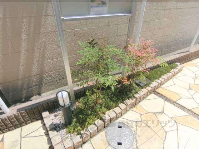 植栽