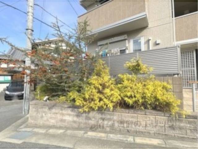 植栽